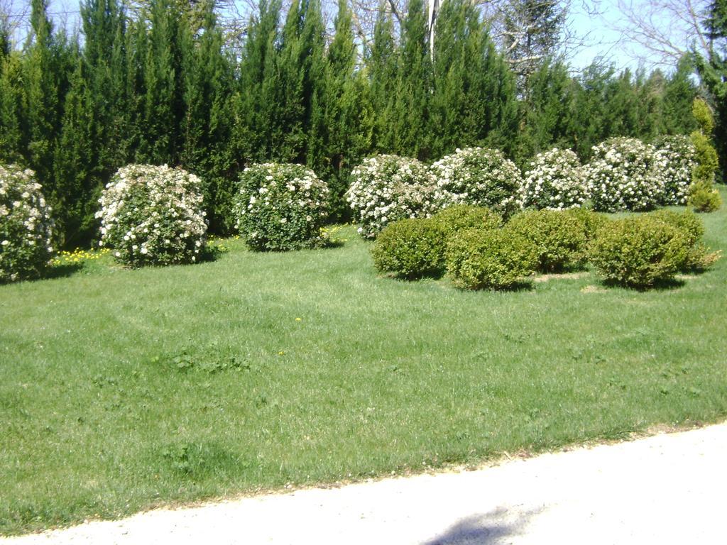 Bastide Des Lauves Villa Aix-en-Provence Luaran gambar
